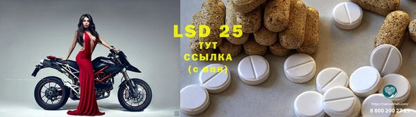 гидра Алексеевка