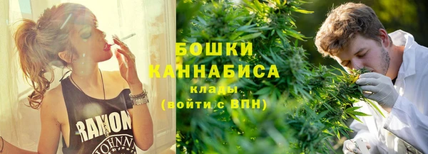 сатива Алзамай