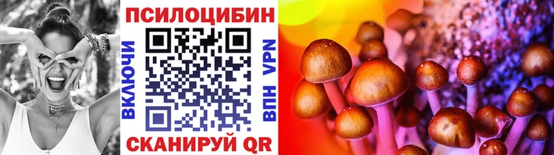 blacksprut ссылка Венёв Псилоцибиновые грибы Magic Shrooms